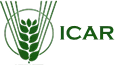 ICAR Logo